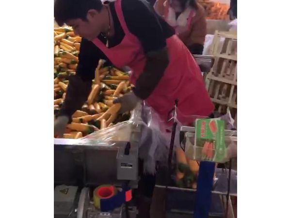 胡萝卜（中国）科技公司机视频