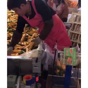 胡萝卜（中国）科技公司机视频